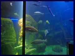 Universeum 29